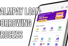 Palmpay loan: How to Borrow Money From palmpay App Easily